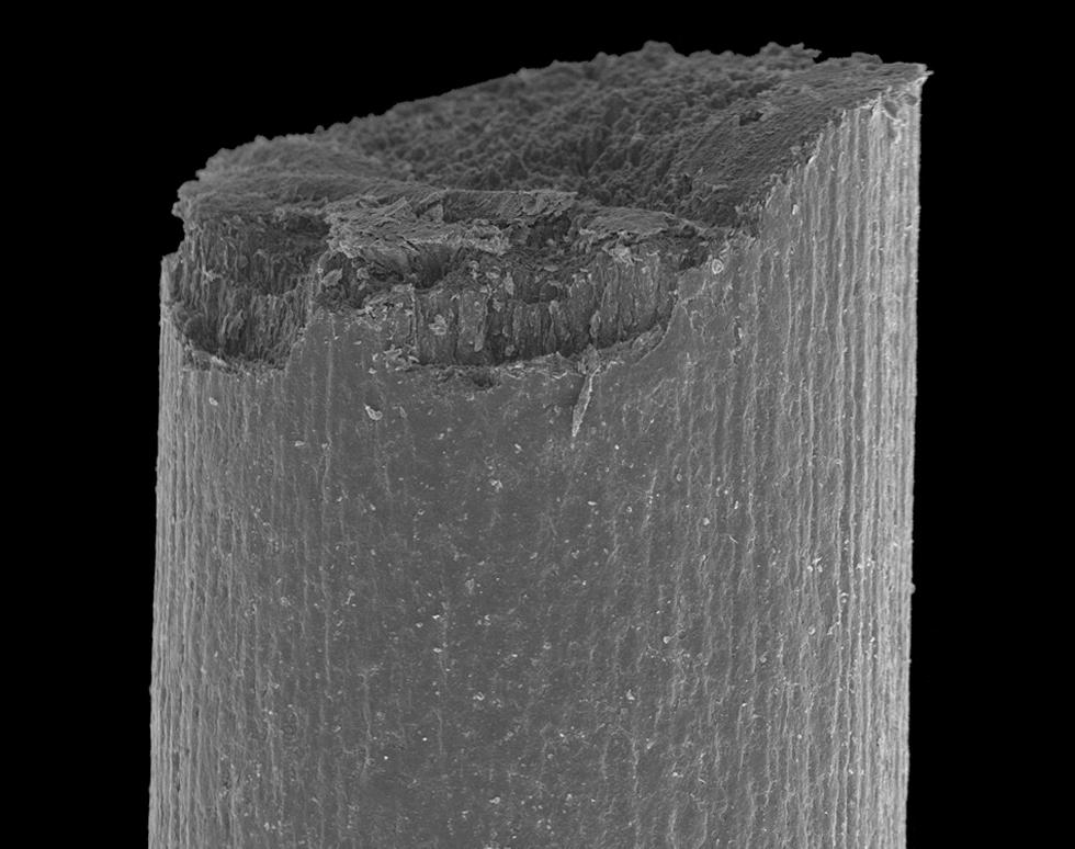 Propelling pencil lead